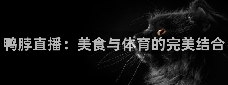nba直播球友：鸭脖直播：美食与体育的完美结合