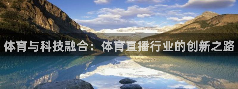球友直播：体育与科技融合：体育直播行业的创新之路