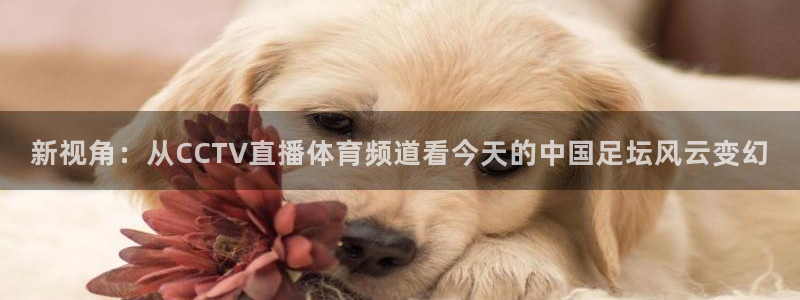 qy球友会体育官网：新视角：从CCTV直播体育频道看今天的中国足坛风云变幻