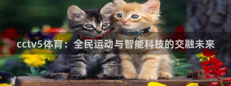 nba直播球友直播：cctv5体育：全民运动与智能科技的交融未来