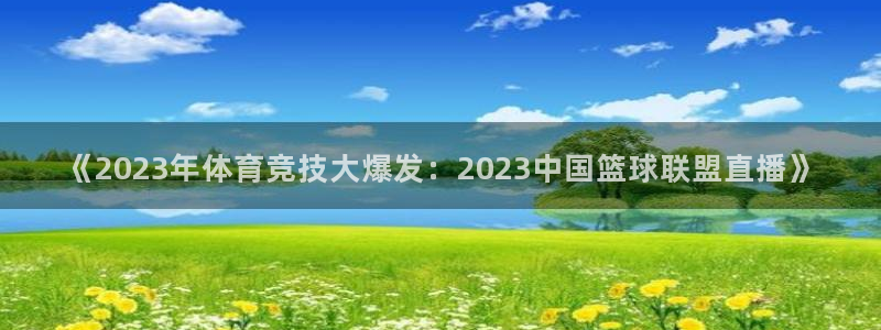 球友体育在线直播观看：《2023年体育竞技大爆发：2023中国篮球联盟直播》