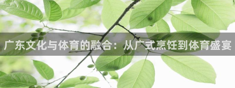 球友体育直播在线观看：广东文化与体育的融合：从广式烹饪到体育盛宴