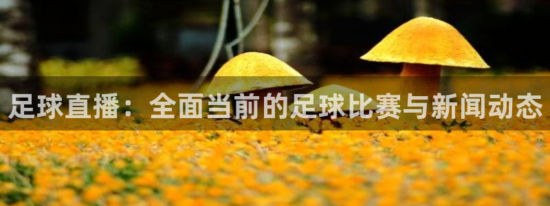球友直播nba在线直播：足球直播：全面当前的足球比赛与新闻动态