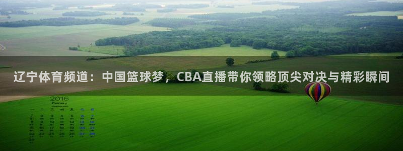 球友体育官网：辽宁体育频道：中国篮球梦，CBA直播带你领略顶尖对决与精彩瞬间