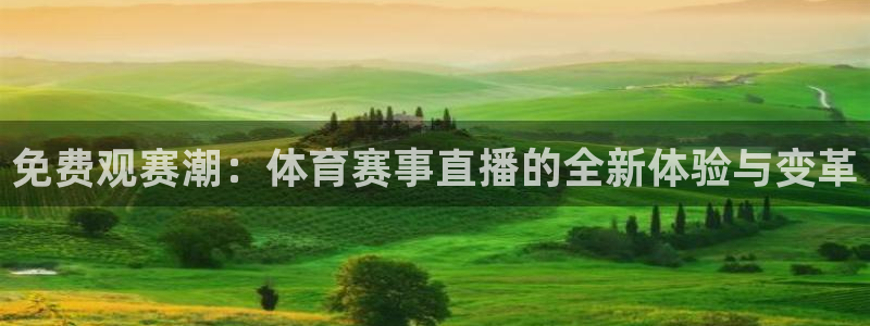 球友直播在线直播：免费观赛潮：体育赛事直播的全新体验与变革
