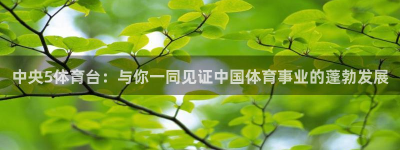 qy体育球友会：中央5体育台：与你一同见证中国体育事业的蓬勃发展