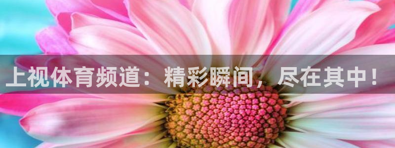 球友直播平台：上视体育频道：精彩瞬间，尽在其中！