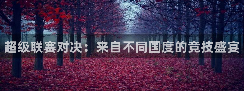 球友直播下载：超级联赛对决：来自不同国度的竞技盛宴